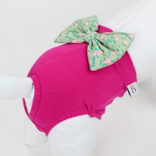 calcinha para cachorro